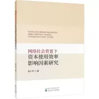 网络社会背景下资本使用效率影响因素研究