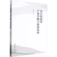长江经济带产业升级与协同发展