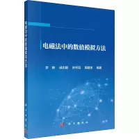 电磁法中的数值模拟方法