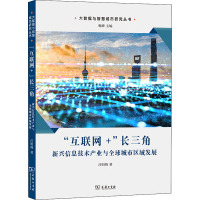 "互联网+"长三角 新兴信息技术产业与全球城市区域发展