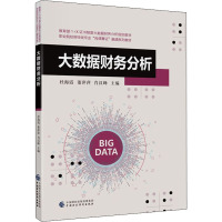 大数据财务分析