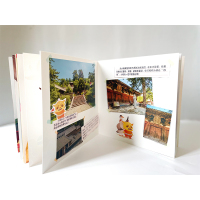 千年不倒的木塔/有故事的中国古建筑系列图画书