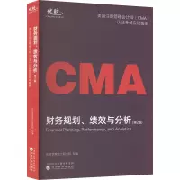 财务规划、绩效与分析(第2版)