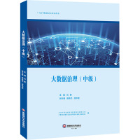 大数据治理(中级)