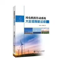 [N]风电机组传动系统大数据智能运维-9787511467133