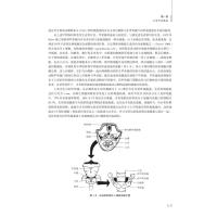 甲状腺疾病中医诊断与治疗--基础与临床(精)