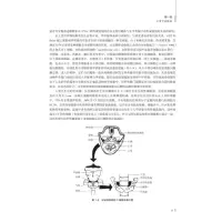 甲状腺疾病中医诊断与治疗--基础与临床(精)
