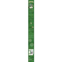 花花草草救了我