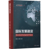 国际发展融资