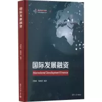 国际发展融资