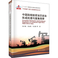 中国陆相致密油页岩油形成机理与富集规律