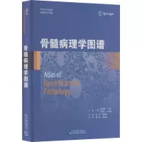 骨髓病理学图谱