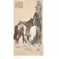 马的画法