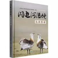 闪电河湿地鸟类图谱