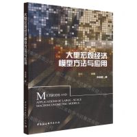 [N]大型宏观经济模型方法与应用-9787522704722