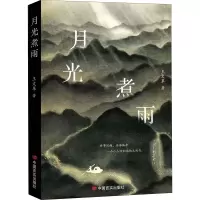 月光煮雨