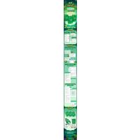 300句巧记中考核心词汇与短语