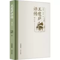 王度庐评传 增订本