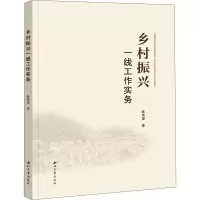 乡村振兴一线工作实务