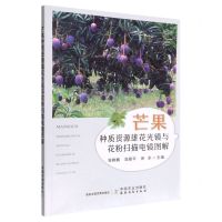 [N]芒果种质资源雄花光镜与花粉扫描电镜图解-9787109301054