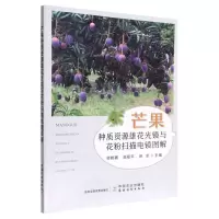 [N]芒果种质资源雄花光镜与花粉扫描电镜图解-9787109301054