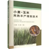 小麦-玉米两熟丰产增效技术