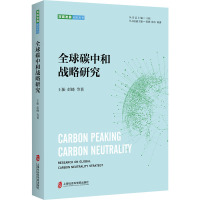 全球碳中和战略研究