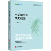 全球碳中和战略研究