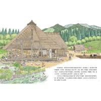 野生动物大作战