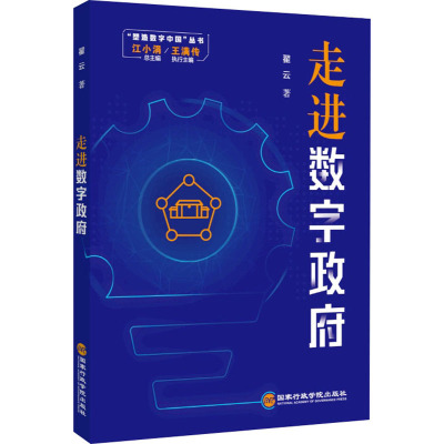 走进数字政府