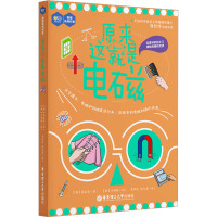 原来这就是电磁