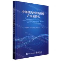 [N]中国磁光电混合存储产业蓝皮书-9787121444876