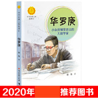 [醉染正版]华罗庚+钱学森 中华先锋人物故事汇全套2册 英雄名人传记三四五六七八年级课外书9-12-15岁中小学生课外阅