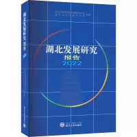 湖北发展研究报告 2022