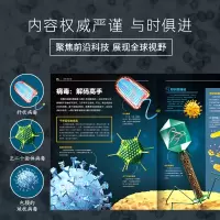 奇妙的人体