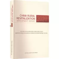 中国乡村振兴发展报告 2020