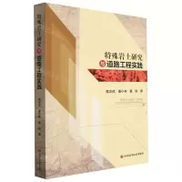[N]特殊岩土研究与道路工程实践-9787572704642