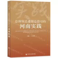 [N]总纲领总遵循总指引的河南实践-9787522809731