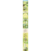 赏心悦目的他/西淅