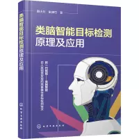 类脑智能目标检测原理及应用