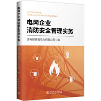 电网企业消防安全管理实务
