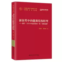 新征程中的能源结构转型——基于