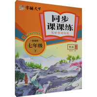 同步课课练 写好字词句段 7年级 下 统编版