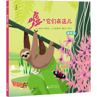 嘘,它们在这儿 雨林篇