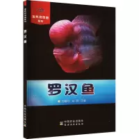 罗汉鱼