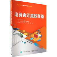 电算会计真账实操