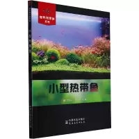 小型热带鱼