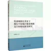 快速城镇化背景下豫东平原地区聚落规模及空间格局演变研究