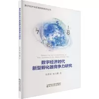 数字经济时代新型孵化器竞争力研究