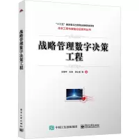 战略管理数字决策工程